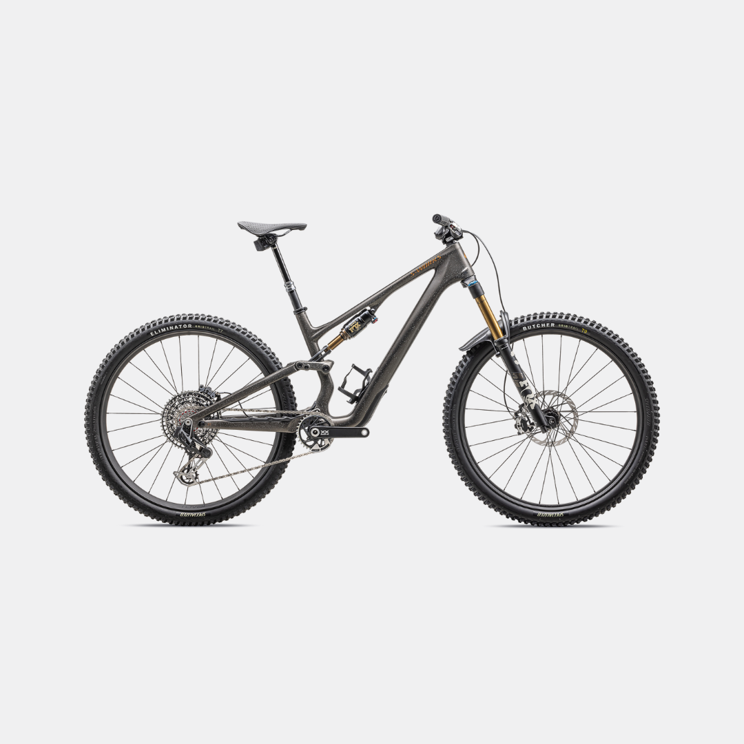 Specialized Stumpjumper 15 (2025)