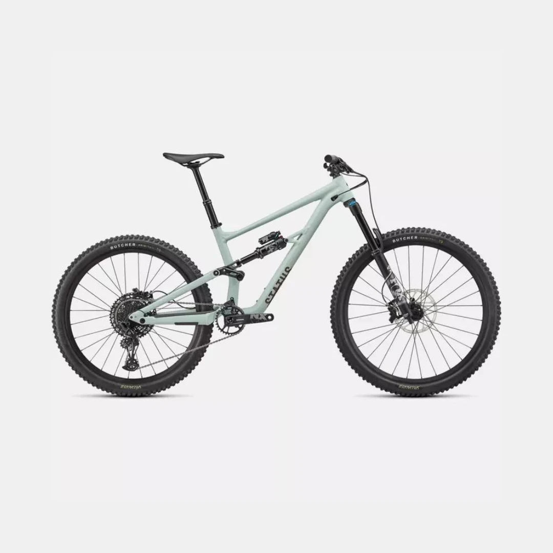 SPECIALIZED STATUS