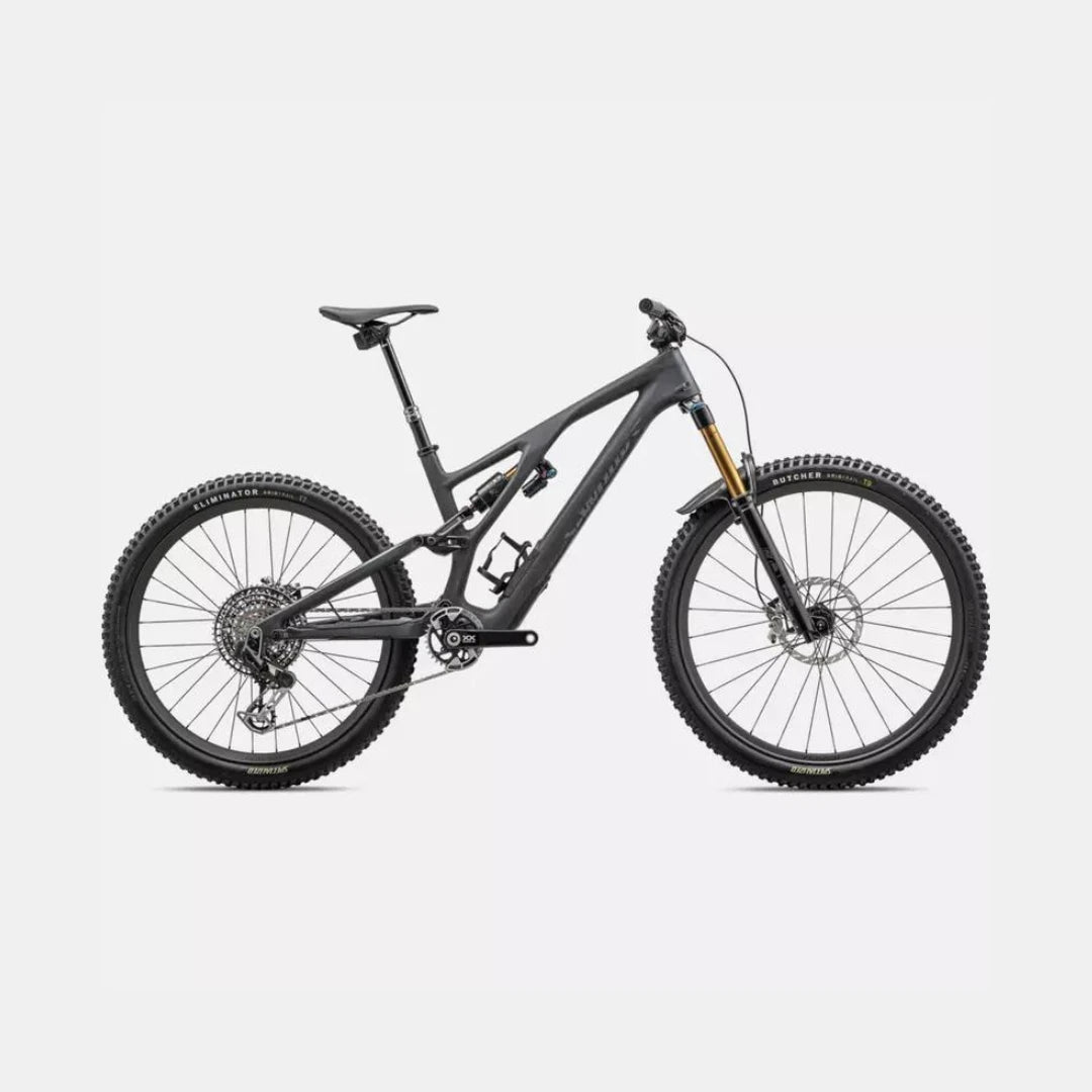 Specialized Stumpjumper EVO