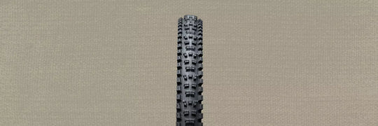 Specialized Eliminator Grid Trail 2Bliss Ready T7 Soil Searching / Tan Sidewall Tire
