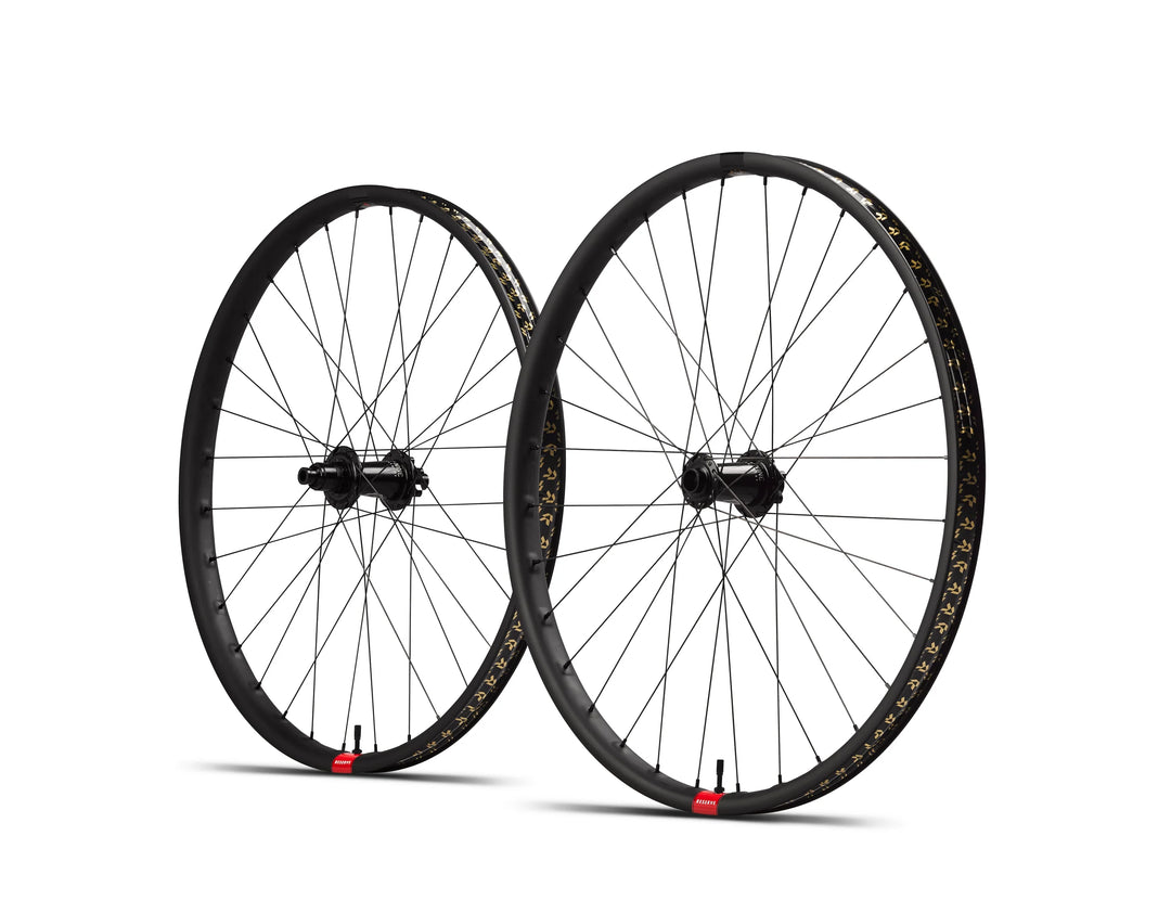 Reserve 31|DH Carbon MX DT 350 DEG XD 6b Wheelset (110/157)