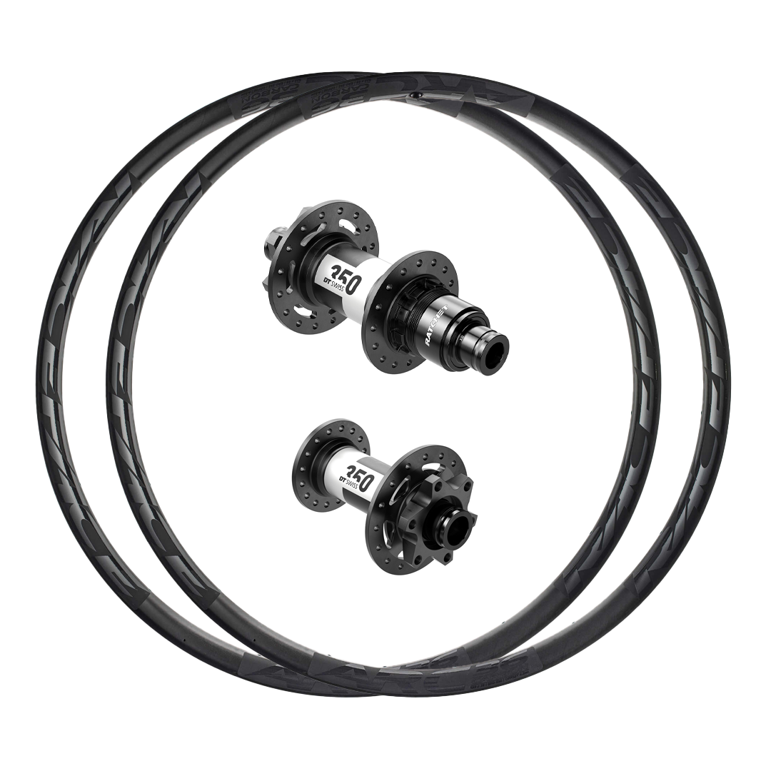 DT Swiss 350 or 350 DEG + RaceFace ARC 36 (Carbon) Custom Wheels (Front+Rear)