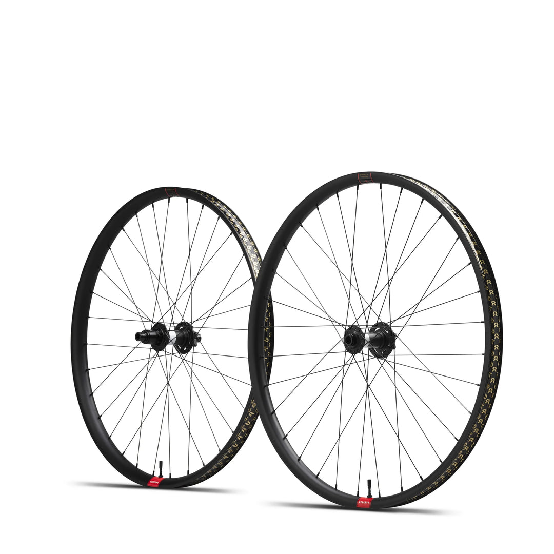 Reserve 30|SL MX Aluminum DT 350 90T Ratchet DEG XD 6-Bolt Wheelset
